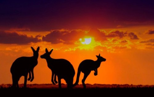 Climate Council: Australian heatwaves more frequent, hotter and longer