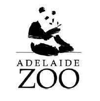 Adelaide Zoo's Pandas boost visitors - Australasian Leisure Management