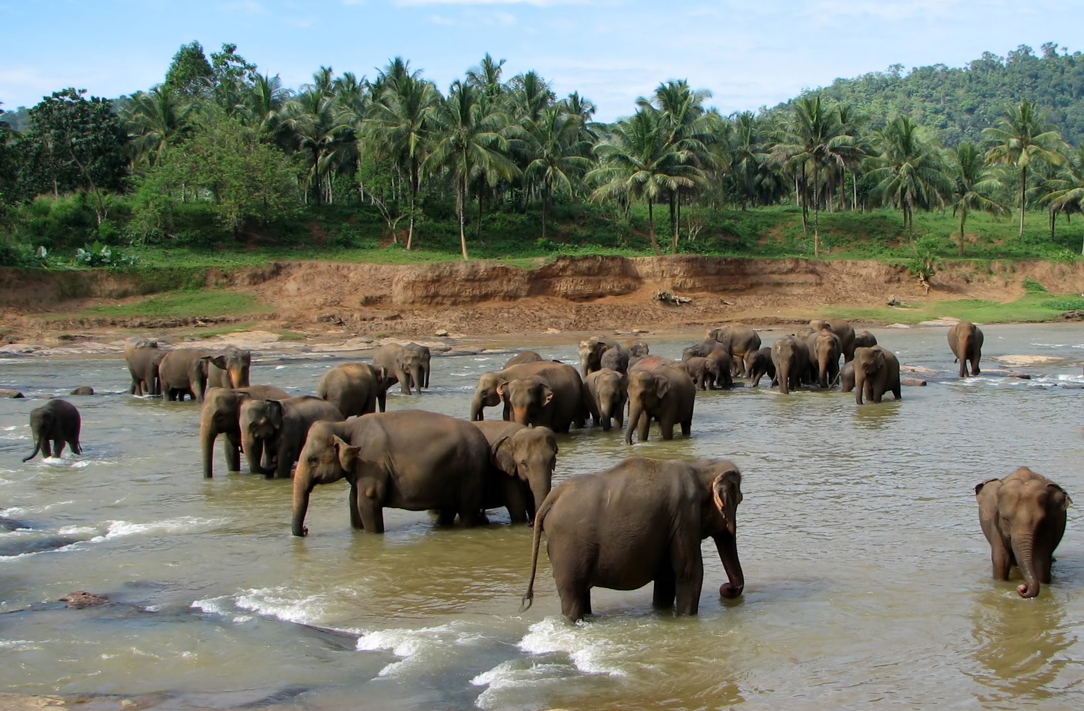 Sri Lanka Reopens To International Tourists With 14 Day Bio Bubble Arrangement Australasian Leisure Management