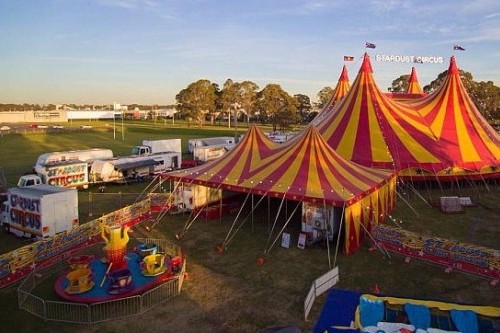 Stardust Circus reveals death threats and abuse from animal activists