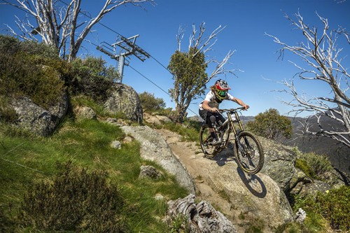 thredbo mountain bike