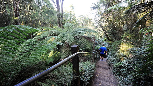 Kokoda Track Memorial Walk reopens after major storm recovery process