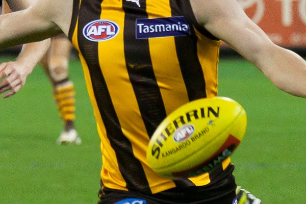 Racism claim against AFL’s Hawthorn terminated by Australian Human Rights Commission