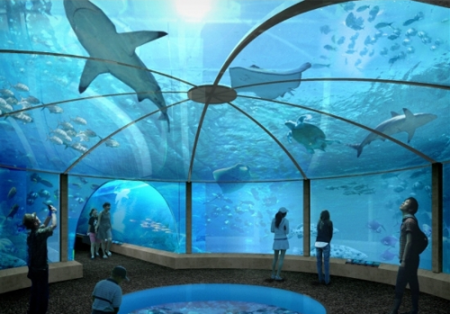 Korea’s largest aquarium opens at Yeosu Expo site