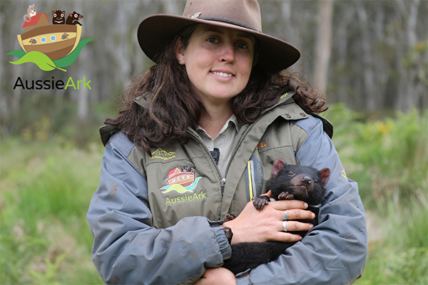 Aussie Ark conduct first health checks on Tasmanian Devil joeys born last season at Barrington Tops