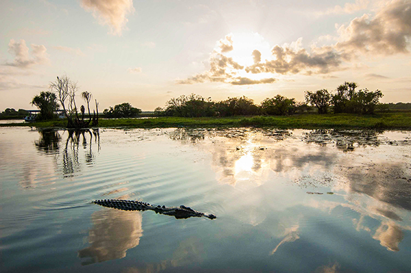 Federal budget confirms $250 million for new and expanded conservation areas
