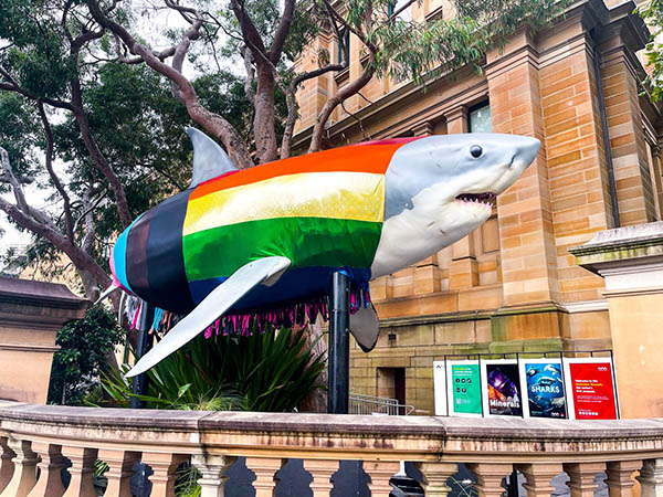 Sharks and WAnderland among winners at Museums and Galleries National Awards