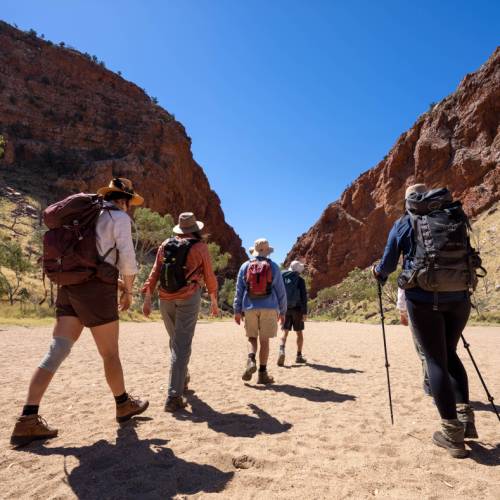 Brolga Awards 2024 recognise excellence in Northern Territory Tourism