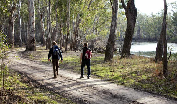 Joint Management plan funded for Victoria’s Barmah National Park