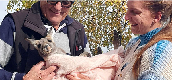 Community collaboration helps progress on new Barossa kangaroo sanctuary