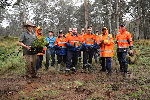 Aussie Ark greens up Barrington Wildlife Sanctuary