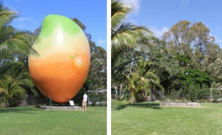 Bowen’s Big Mango goes missing