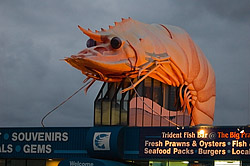 Ballina’s Big Prawn Set for Demolition