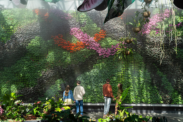 Royal Botanic Gardens Sydney launches immersive rainforest exhibition