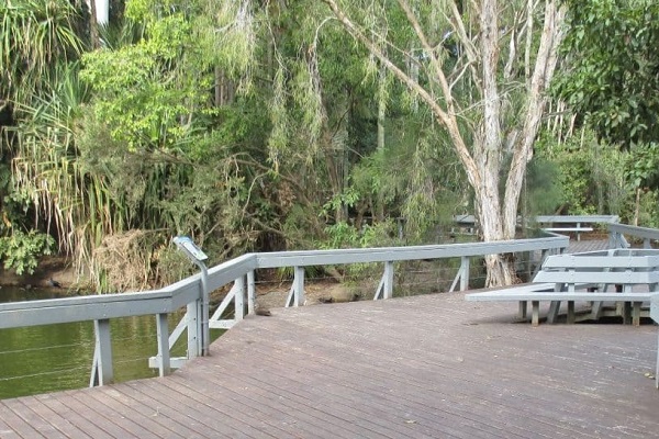 Bundaberg Botanic Gardens boardwalk set for upgrade