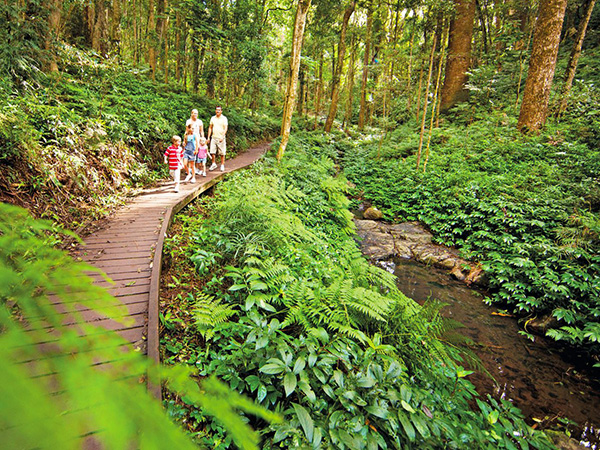 Bunya Mountains National Park allocated $6.4 million for upgrades