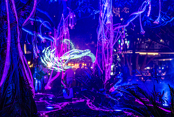 Laservision transforms Cairns esplanade and parkland into immersive underwater world