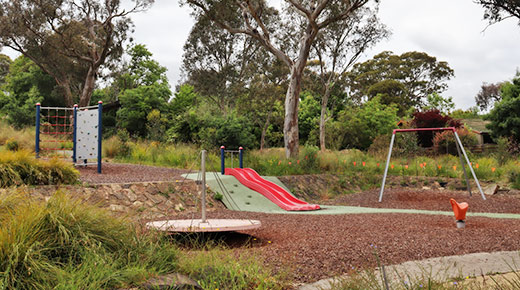 Habitat restoration aims to improve biodiversity and conservation across urban Canberra