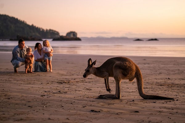 Tourism and Transport Forum Leadership Summit to welcome Premier and Opposition Leader