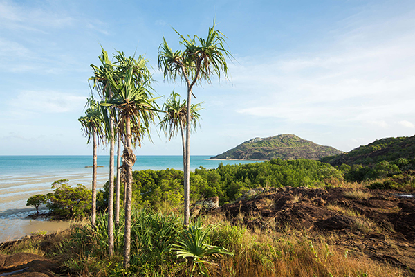 First Nations groups financially supported to protect cultural heritage values on Cape York