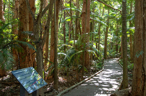 20,000 volunteer hours help transform former Cairns sugar cane farm into Cattana Wetlands