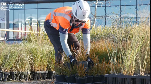 Christchurch’s Parakiore Recreation and Sport Centre to be surrounded by 20,000 native plants and trees