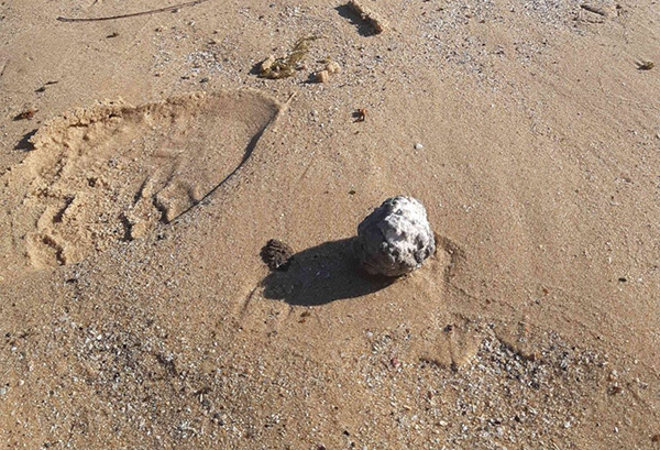 Mysterious debris balls wash up on NSW South Coast beaches