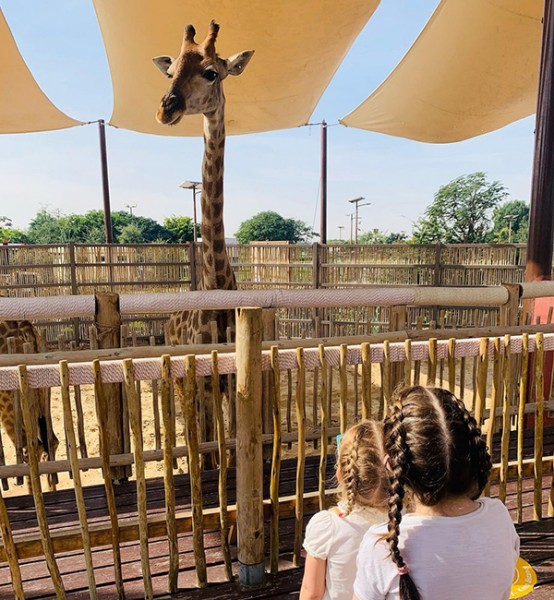 Dubai Safari Park to open for its sixth season  