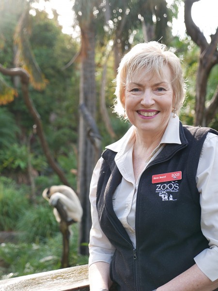 Zoos SA Chief Executive to retire in 2025 with recruitment process launched for replacement