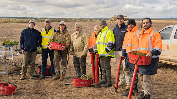 Bush Heritage Australia and Greening Australia collaborate on Ediegarrup Reserve restoration