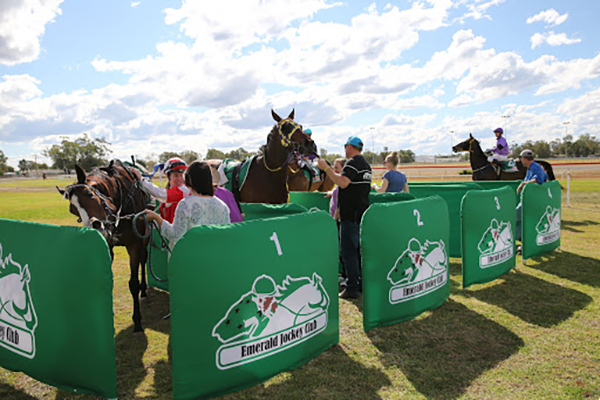 Central Queensland race clubs to share $700,000 state government grant