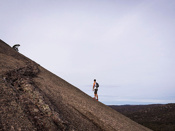 Upgraded Girraween National Park experiences high visitation during school holidays