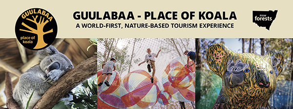 Guulabaa Koala tourism precinct secures International Design Award