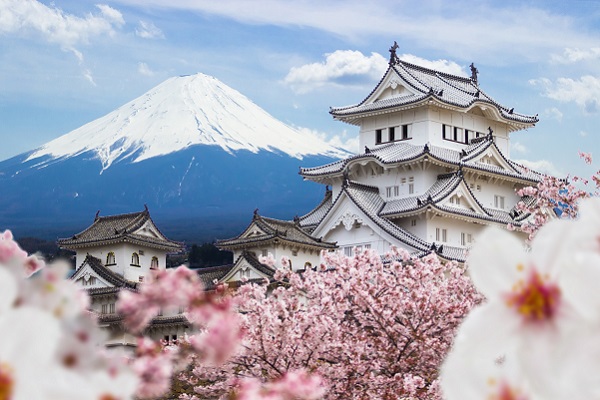 Japanese tourism operators explore higher charges for foreign visitors