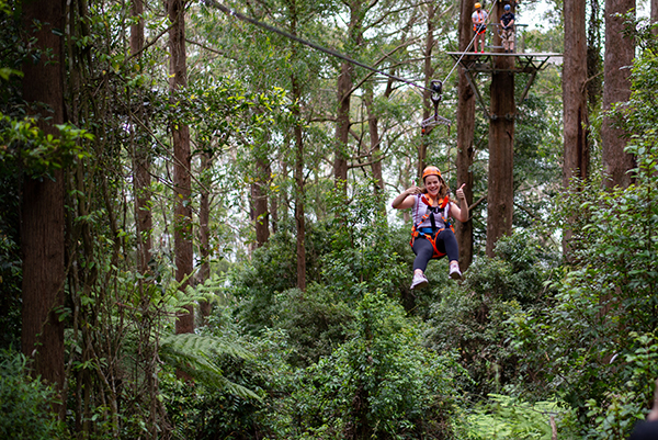 Merlin Entertainments announces sale of Australian rainforest Fly attractions