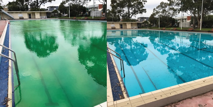 IXOM rolls out Algae Shield solution for algae, slime and unwanted wall growth in commercial pools