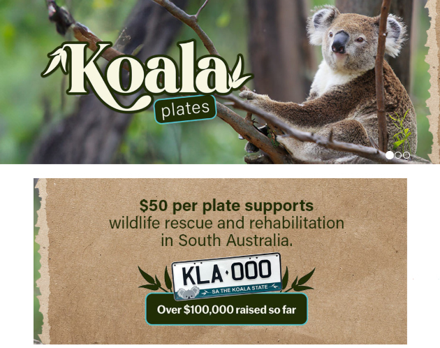 South Australia Koala Plate initiative supports wildlife rescue organisations