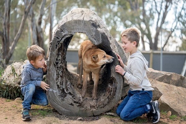 Zoos Victoria achieves quality tourism sustainable accreditation across all four attractions