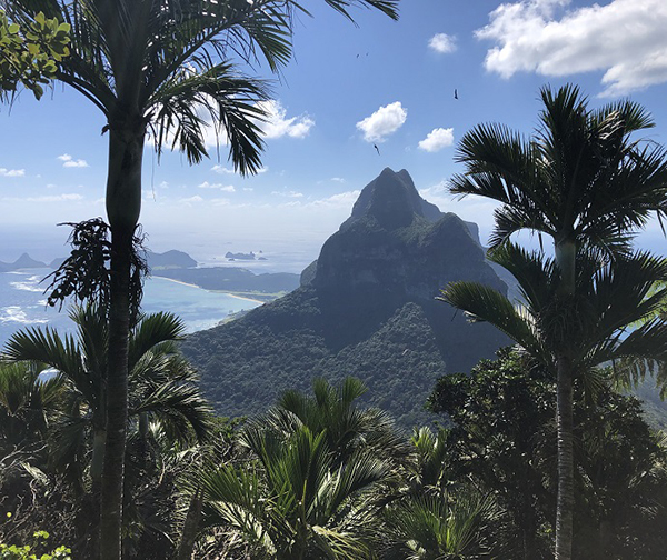 Lord Howe Island reopens northern walking tracks in Permanent Park Preserve