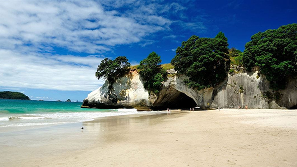 Walking access reinstatement work to begin on cyclone damaged Mautohe Cathedral Cove