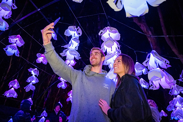 Immersive Moama Lights experience to light up the Murray