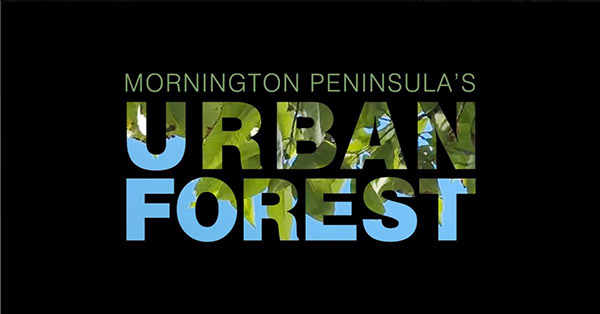 Urban Forest Strategy adopted for Mornington Peninsula