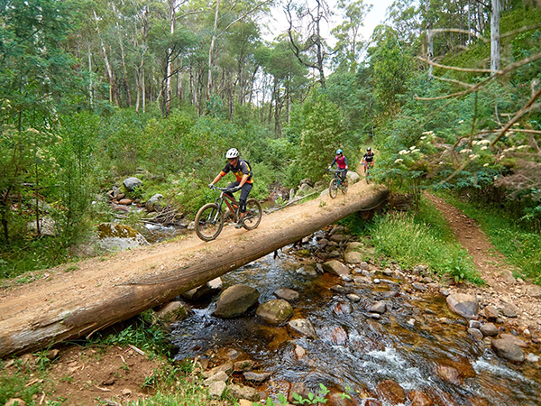 Successful recipients announced of Victoria’s Regional Tourism Investment Fund 2024