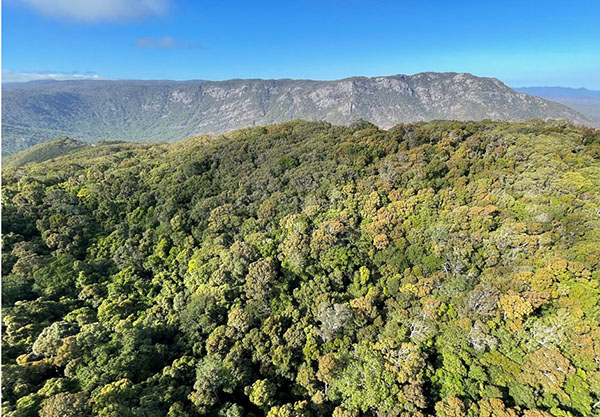 Over $1 million available to restore Queensland nature refuges