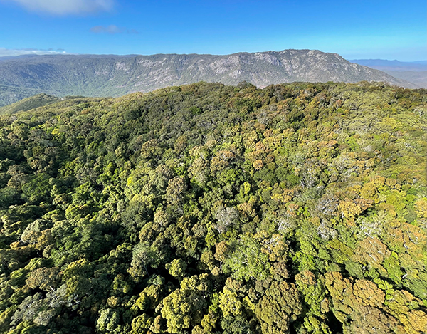 Queensland Government protects an additional 43,000 hectares of land across the state