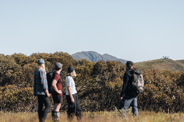 Mount Hotham spotlights its free summer guided walks