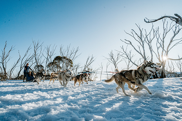 Hotham spotlights its recreational and wellness off-piste options