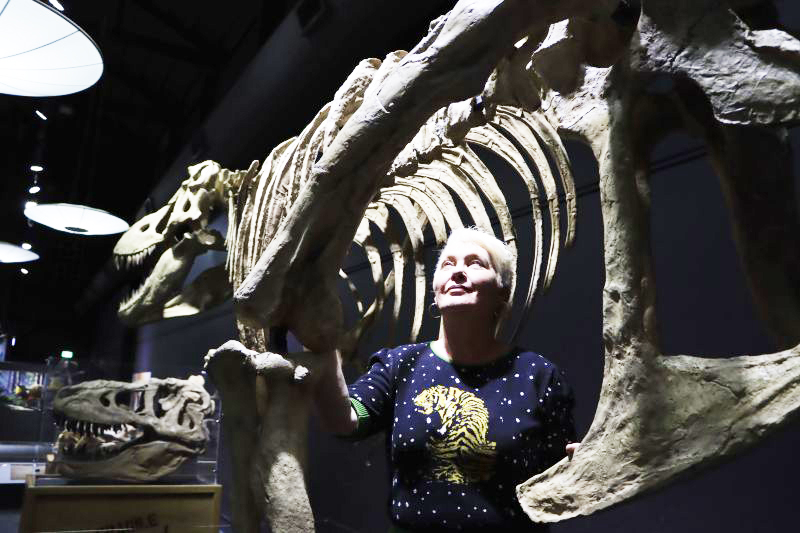 Newcastle Museum offers engaging dinosaur encounters