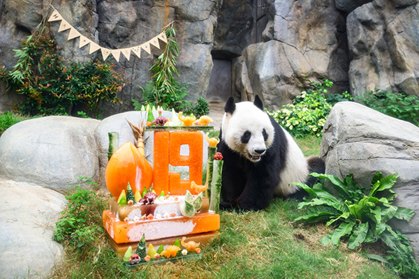 Ocean Park marks China’s National Ecology Day with Giant Panda birthday celebration