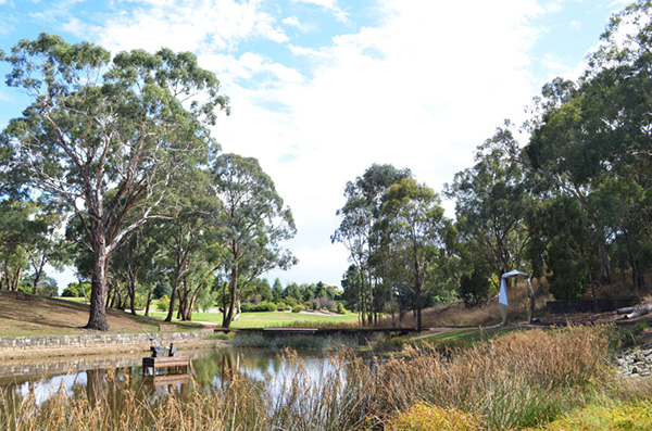 Orange Community Carols to trial new venue at the Botanic Gardens